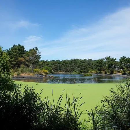 Land Sea View By Trip2portugal *