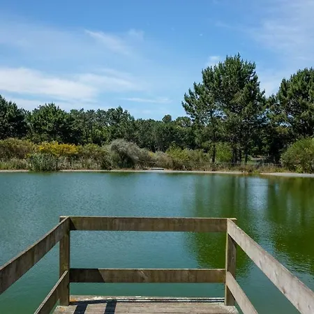 Land Sea View By Trip2portugal * Esmoriz